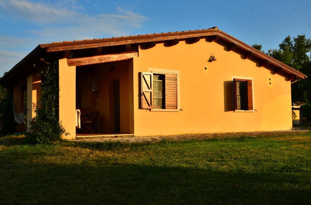 Agriturismo Terre Di Musignano Canino Quarto foto
