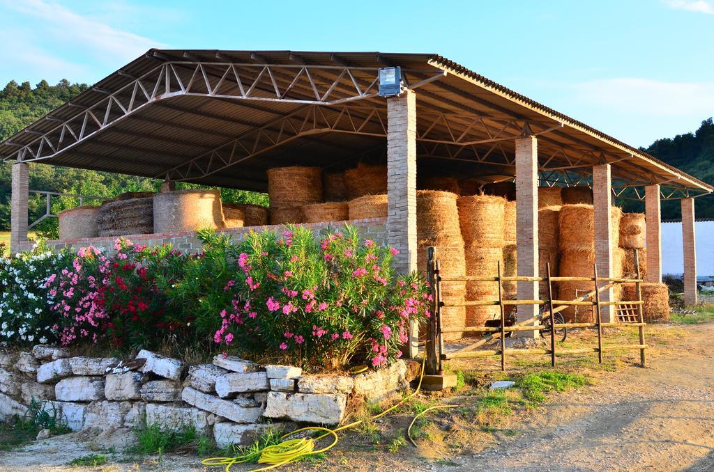 Agriturismo Terre Di Musignano Canino Quarto foto