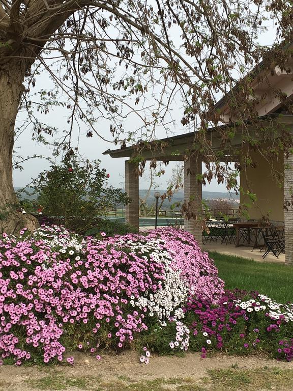 Agriturismo Terre Di Musignano Canino Exterior foto
